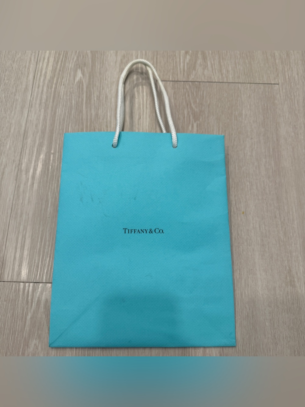 Tiffany & Co. Shopping Bag